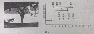 2015年广东成人高考高起点「历史地理」真题及答案解析