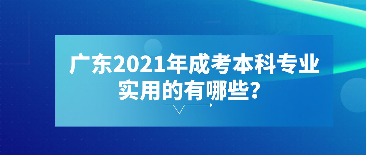广东2021年成考本科专业实用的有哪些?