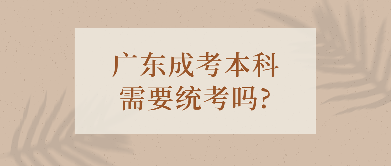 广东成考本科需要统考吗?